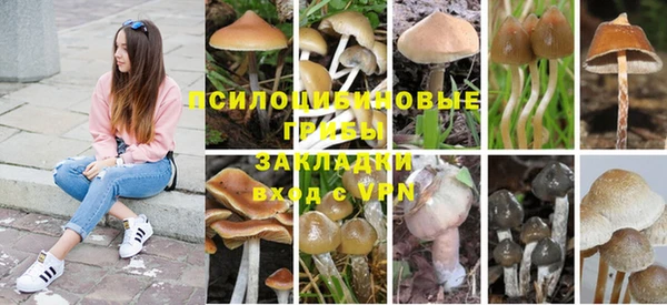 spice Балабаново