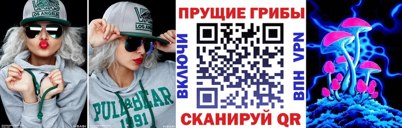 Галлюциногенные грибы Magic Shrooms  Купить где  Энем 
